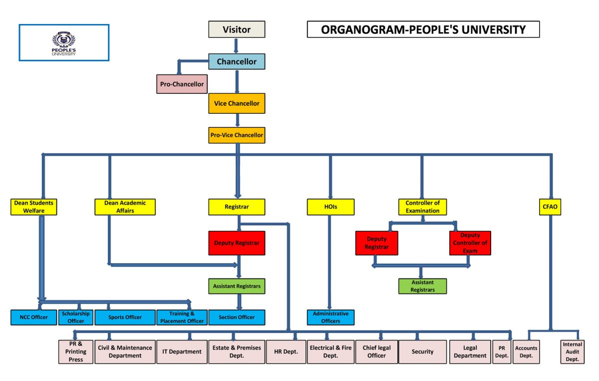 Organogram Strukton